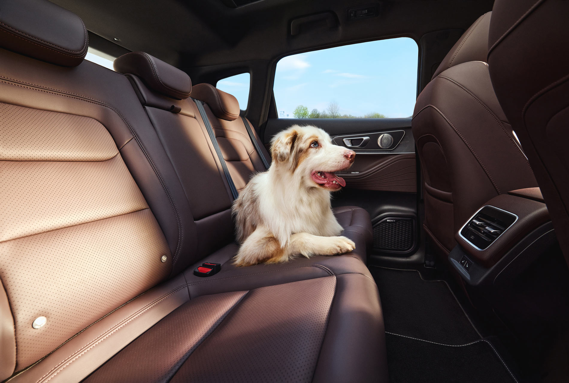 Комфортные сидения с вентиляцией в TENET T7